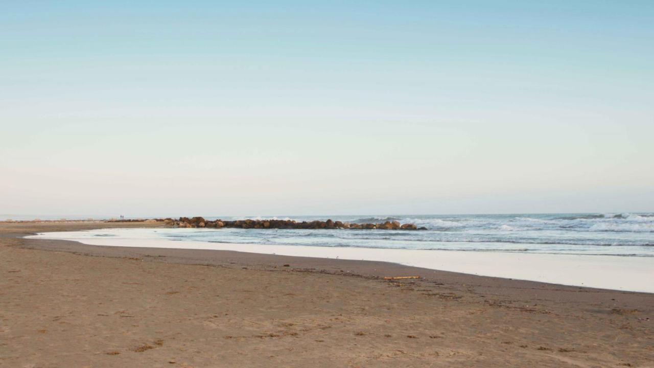 Sweet & Wellness Nettuno