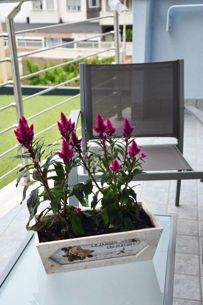 Sweet & Wellness Bed & Breakfast Nettuno